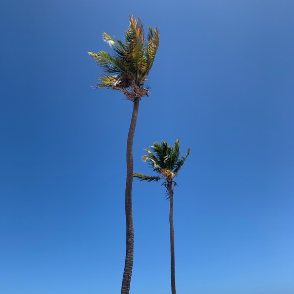 Meet your Posher, Tracy - Picture 1 of 1